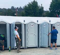 Types of Portable Toilets We Offer in Moorefield, WV